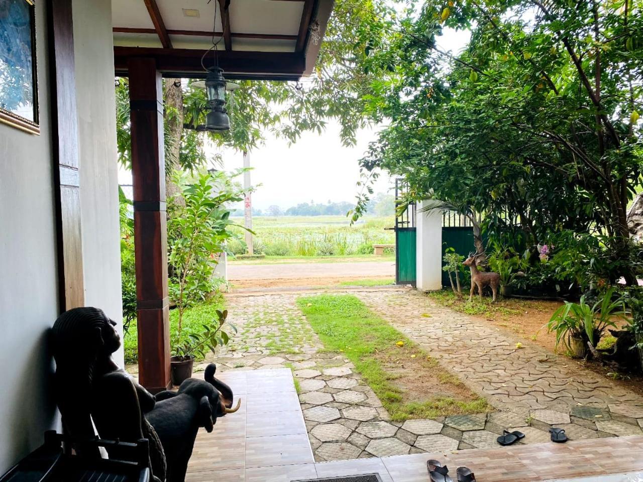 Hotel Tissamaharama Ngoại thất bức ảnh